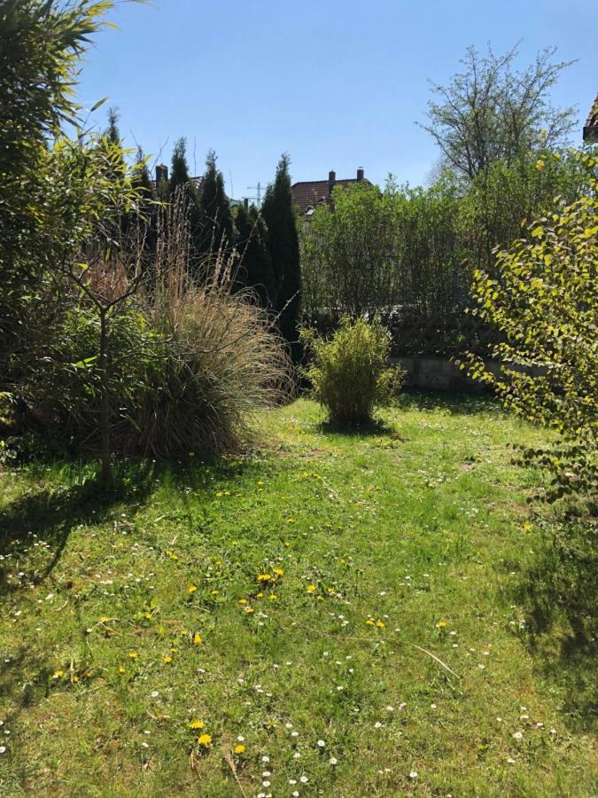 Sieben-Berge-Ferienwohnungen Alfeld  Eksteriør billede